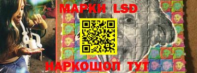 индика Лесосибирск