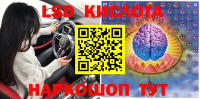 индика Лесосибирск