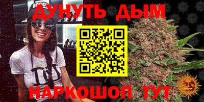 индика Лесосибирск