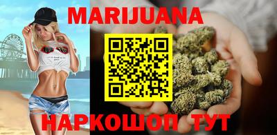 индика Лесосибирск