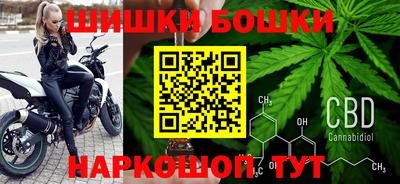 индика Лесосибирск