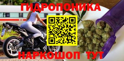 индика Лесосибирск