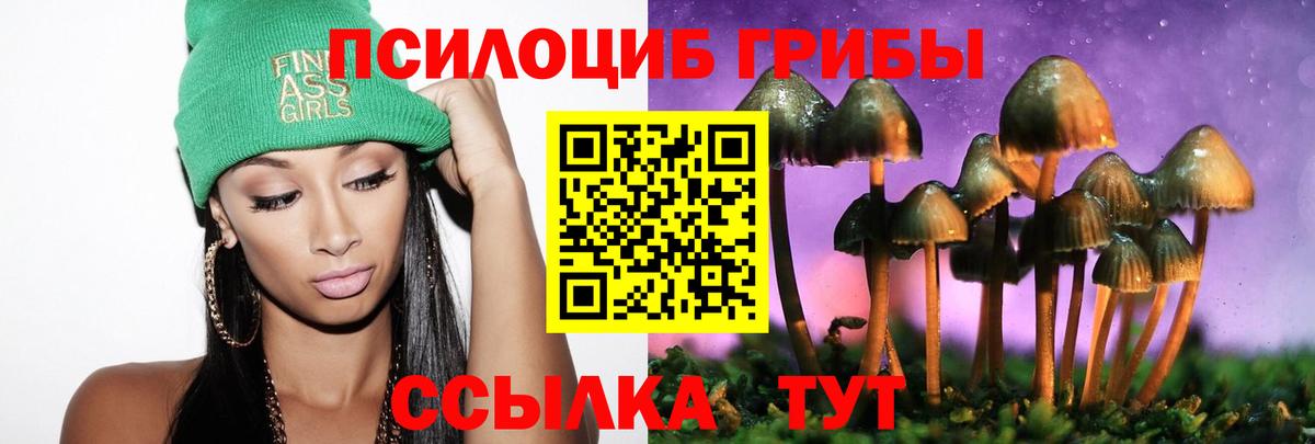 дарнет шоп  Вход с VPN  Топки  Псилоцибиновые грибы ЛСД 